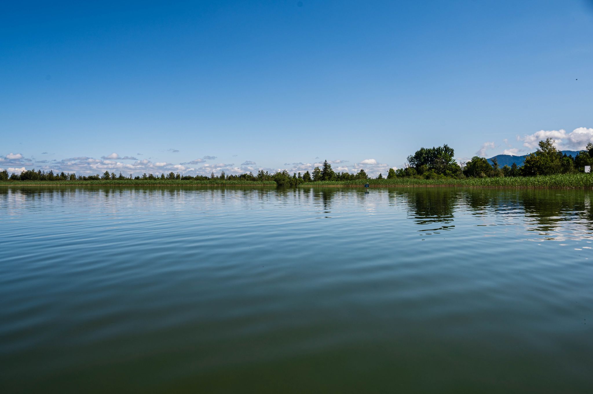Kajaktour Kochelsee 15.07.2024